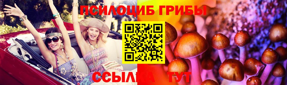 Псилоцибиновые грибы Psilocybine cubensis Рославль